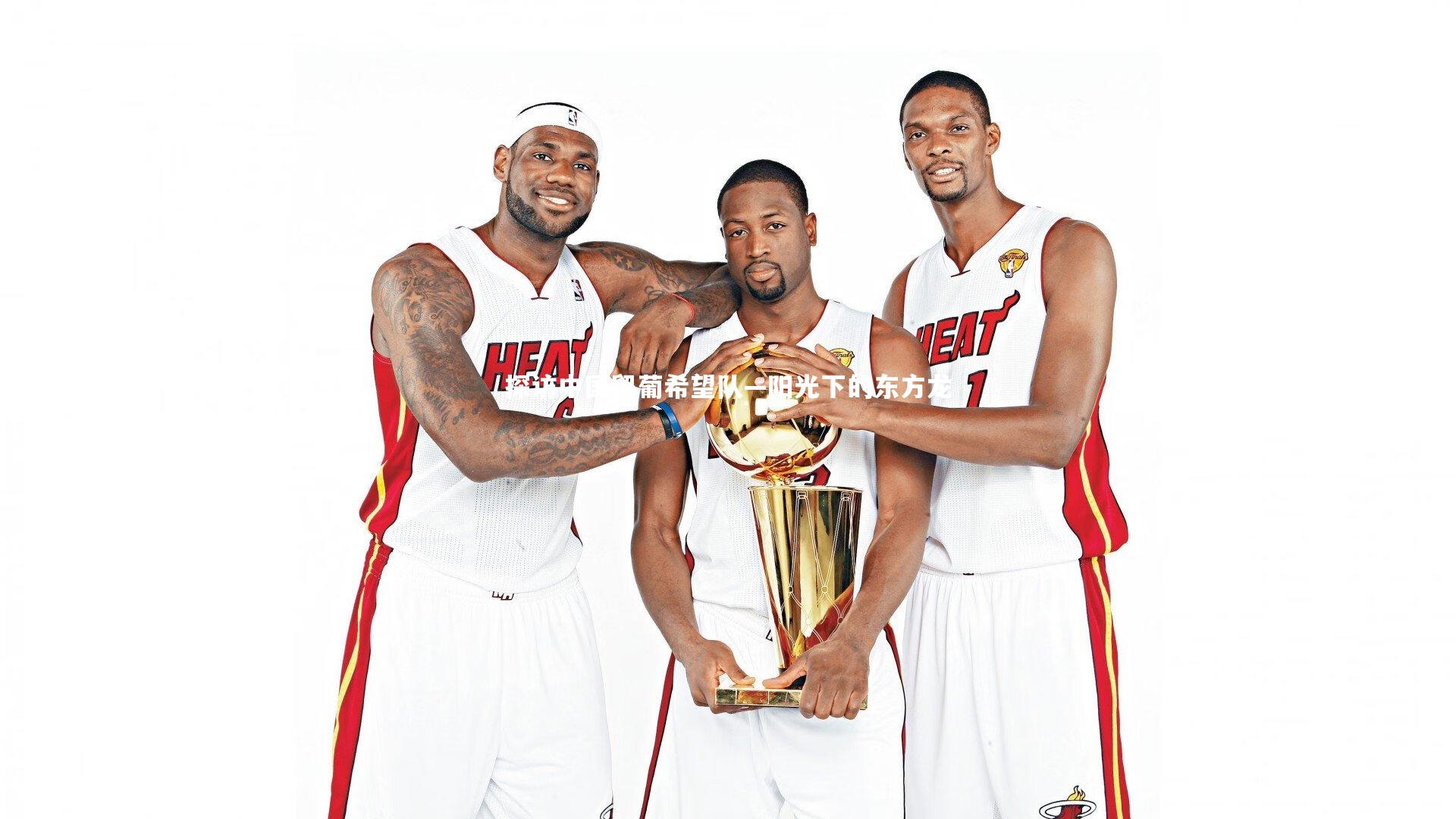 探访中国留葡希望队—阳光下的东方龙